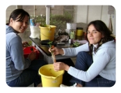 Avaliação de experimento - Lisandra e Nicole - 2008